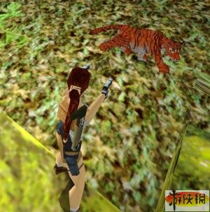 《古墓丽影8地下世界》陆地动物老虎介绍 - 07